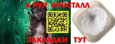 кокс Гатчина