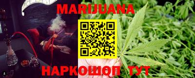 кокс Гатчина