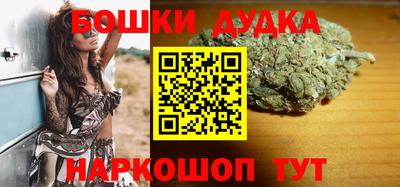 кокс Гатчина