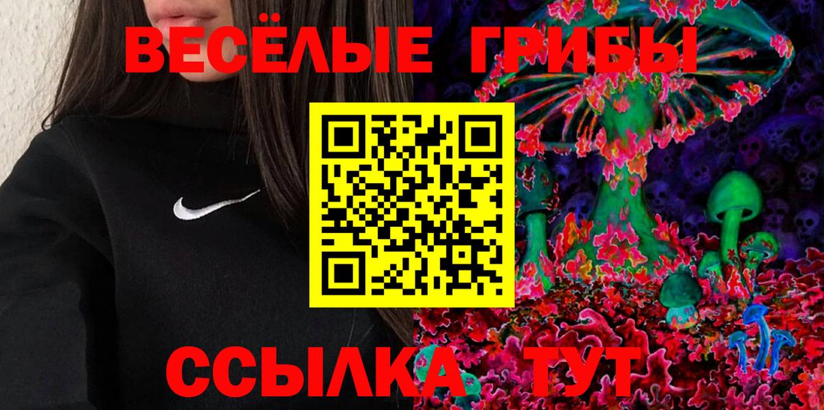 Буйнакск  Галлюциногенные грибы Psilocybe  Вход с VPN 
