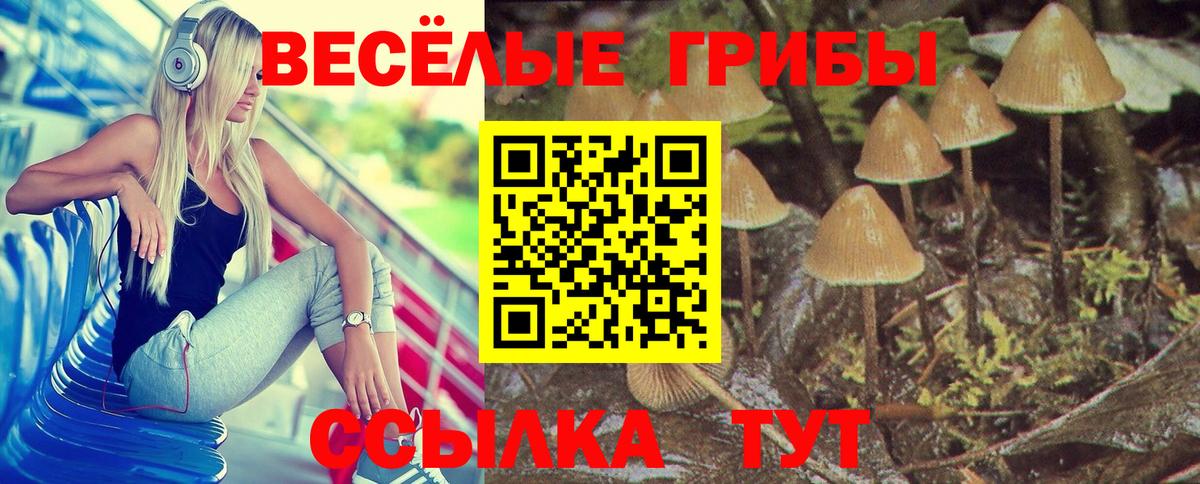  КОКАИН Буйнакск