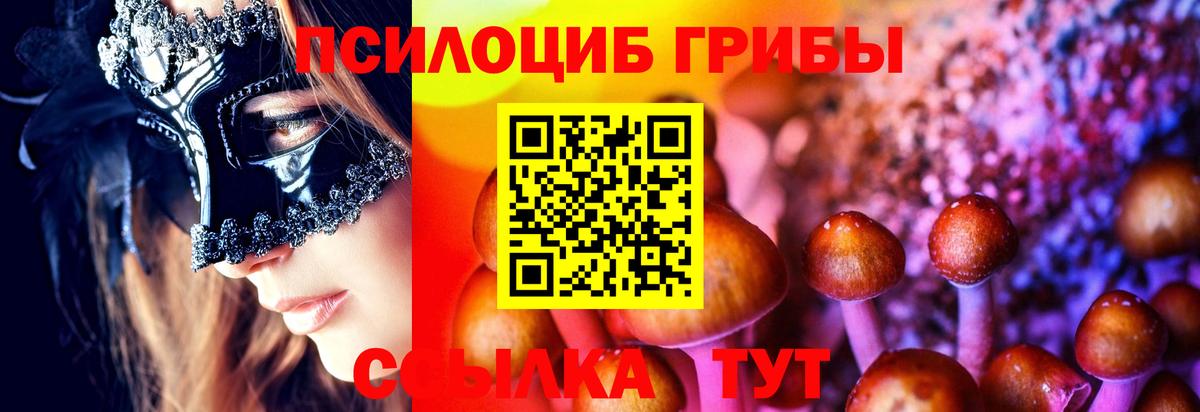 Галлюциногенные грибы мицелий Буйнакск